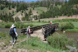 The footbridge over the greys river [sat jul 3 16:12:57 mdt 2021]